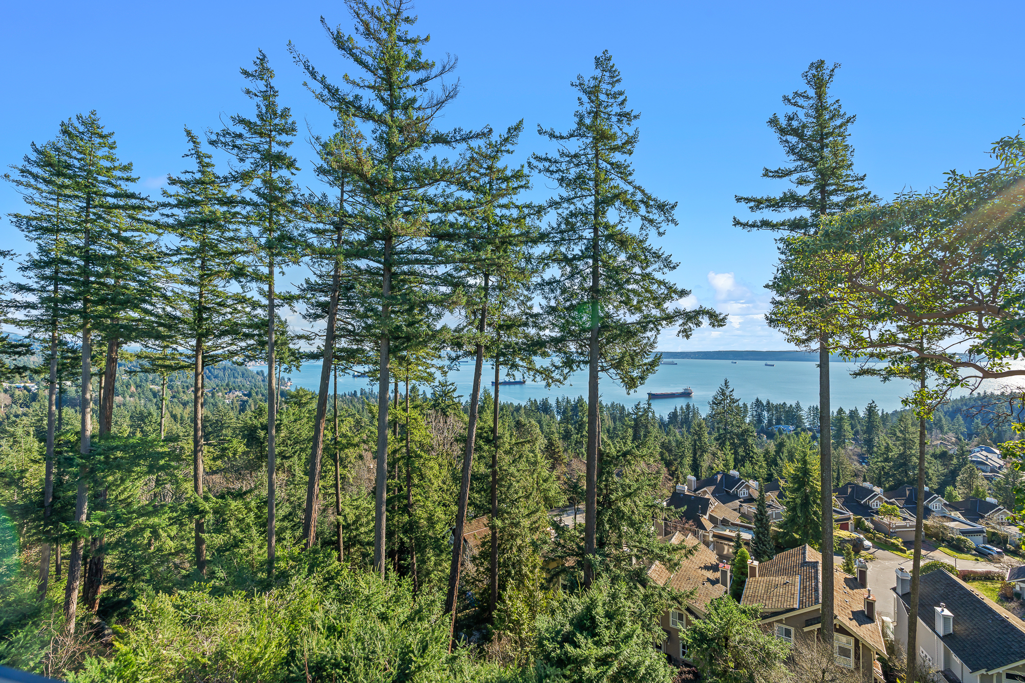 #8 - 5110 Alderfeild Place